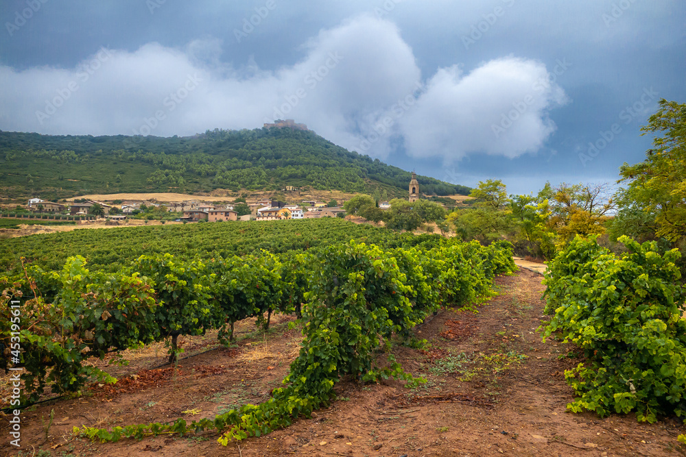 View of the Town and Castle of Villamayor de Monjardin through the Green Vineyards of Navarra, along the Way of St James Pilgrim Trail Camino de Santiago
