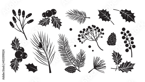 Christmas vector plants, branches, fir, pine cones, evergreen tree set, holiday decoration, black winter leaf and twig isolated on white background. Nature illustration