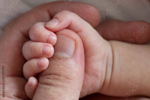 The hand of a newborn in the hand of an adult