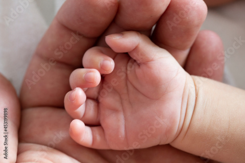 The hand of a newborn in the hand of an adult