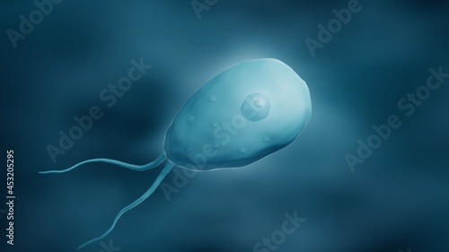 Fotografie Amoeba, Unicellular organism