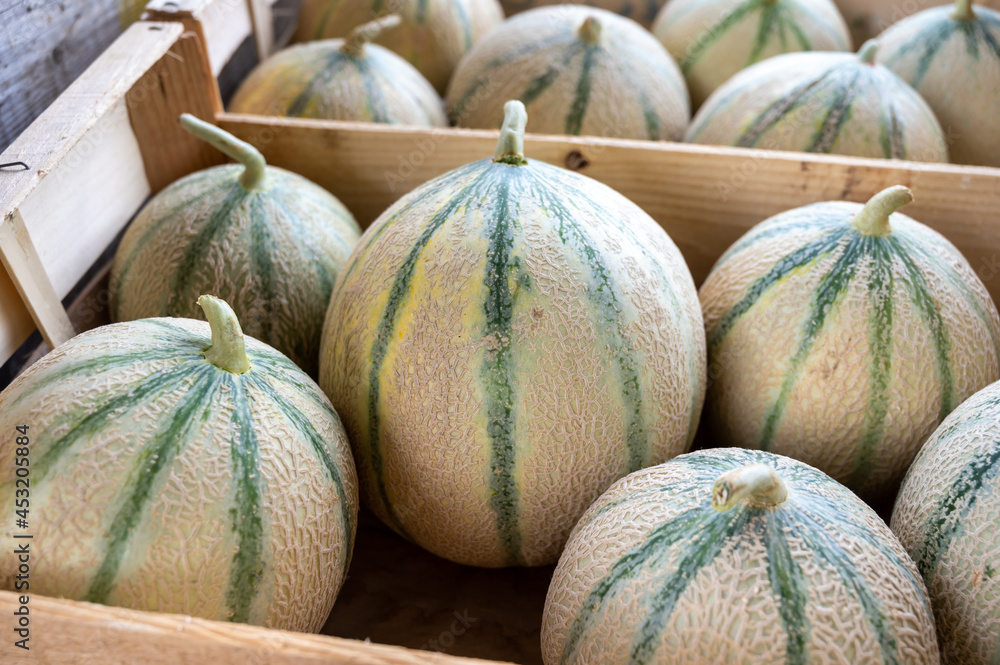 Sweet ripe cantalupe melons from Carpentras town for sale on farmers market, Provence, France