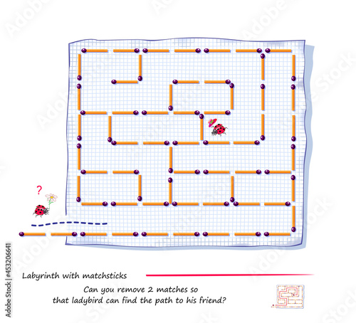 Labyrinth with matchsticks. Logic puzzle game. Can you remove 2 matches so that ladybird can find the path to his friend? Printable page for brain teaser book. Developing spatial thinking skills.
