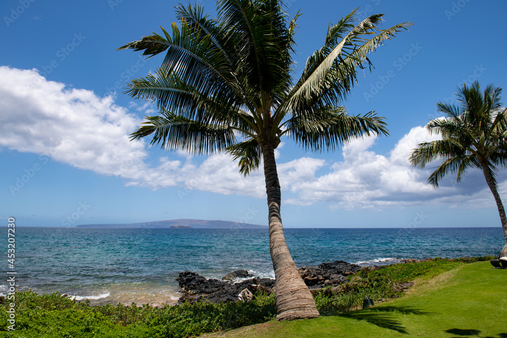 Hawaiian beach background. Enjoying paradise in Hawaii. Panorama tropical landscape of summer scenery with palm trees. Luxury travel vacation. Exotic beach landscape. Amazing nature, relax on nature.