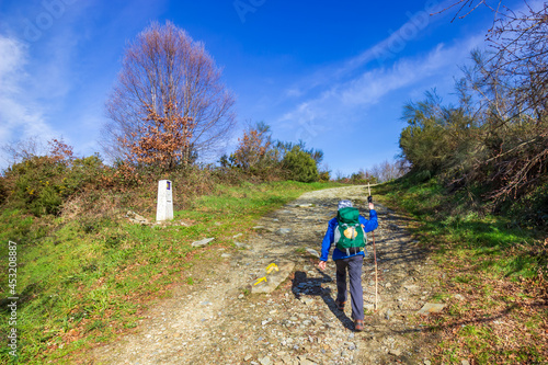 A Lone Girl Hiker Walking Hiking up a Hill with the Yellow Arrow Way Mark outside Sarria along the Way of St James Pilgrimage Trail Camino de Santiago photo