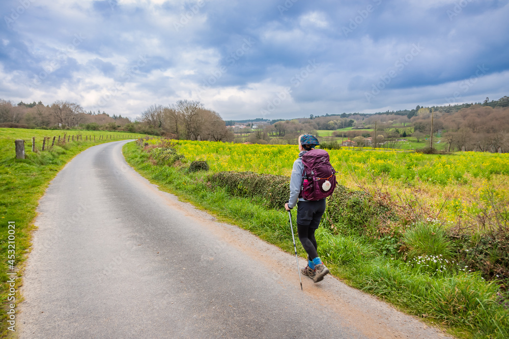 Obraz premium Pilgrim Girl Hiking in Galicia Spain Countryside on the Way of St James Pilgrimage Trail Camino de Santiago