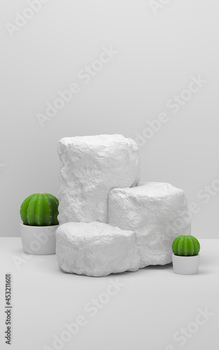 Fototapeta Naklejka Na Ścianę i Meble -  Cactus and stones with white background, 3d rendering.