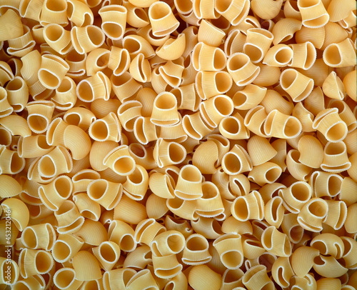 Gobbi, classic Italian dry pasta photo