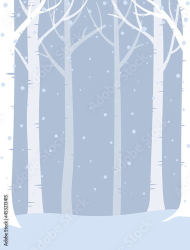 Fotografija Vector illustration of winter forest. Snowy forest background.