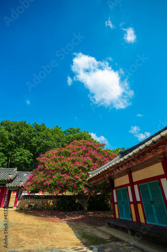 Wallpaper Mural 바다와 밤 Torontodigital.ca