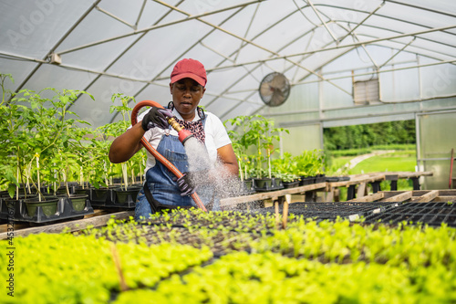 Female farmer watering plants in greenhouse