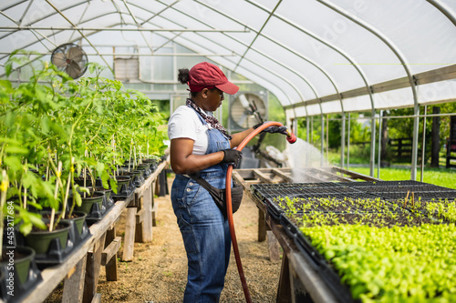 African American Female farmer watering plants in greenhouse