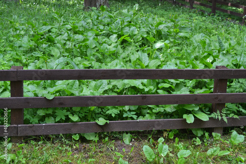 Summer green rural farm fence landscape.