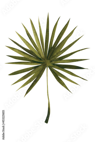 The Anahaw