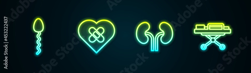 Set line Sperm, Healed broken heart, Human kidneys and Stretcher. Glowing neon icon. Vector