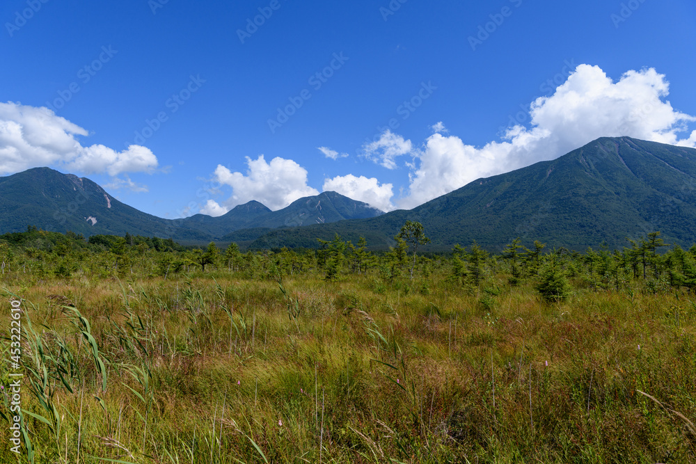 Fototapeta premium 戦場ヶ原から見た男体山と太郎山、大真名子山、小真名子山
