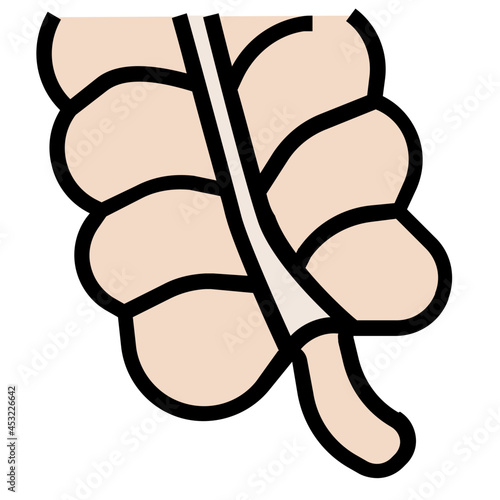 appendix line icon