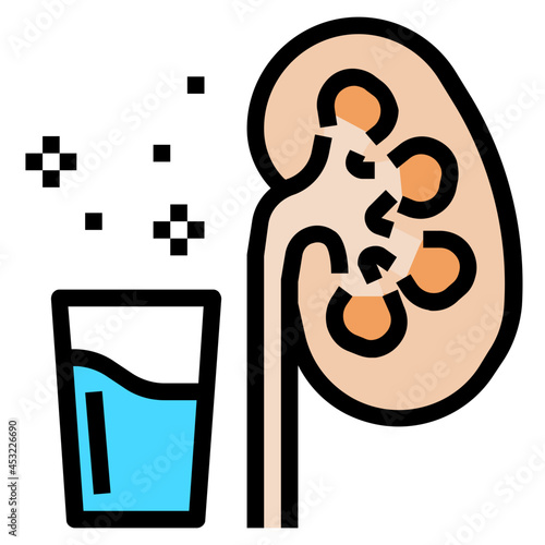kidney line icon