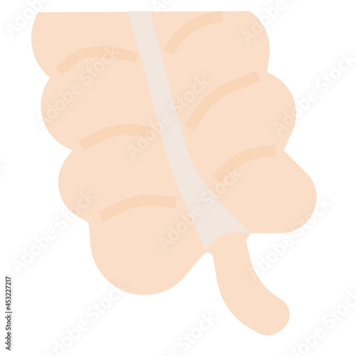 appendix flat icon