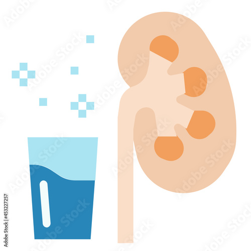 kidney flat icon