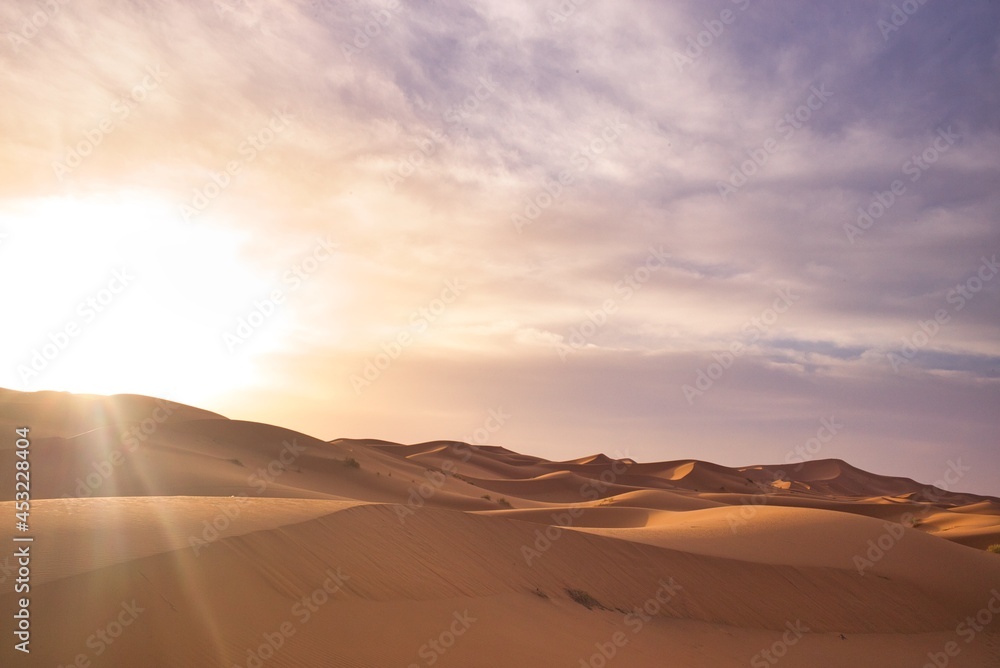 Fototapeta premium Desert