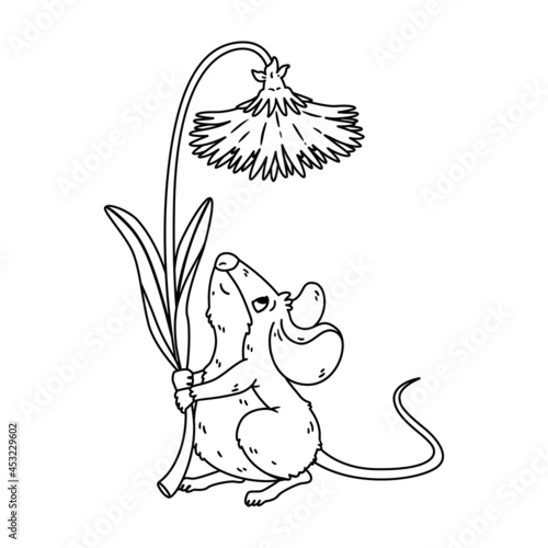 Little forest mouse holding dandelion. Meadow vole with flower. Rat keep blossom. Vector character isolated illustration on white background. Coloring page for children.