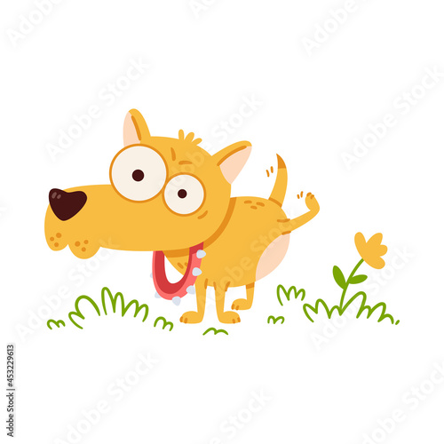 Little dog with big eyes pee on flower. Chihuahua in collar with spikes on walk. Funny vector illustration in flat style isolated on white background.