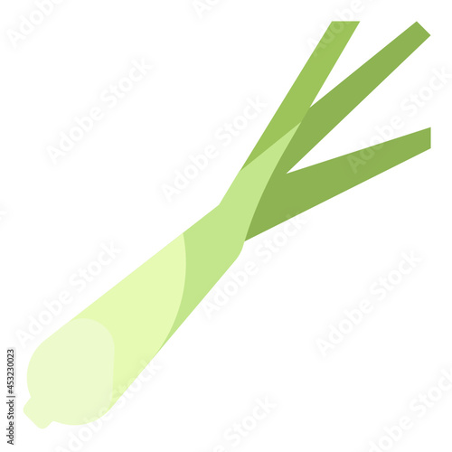 lemongrass flat icon