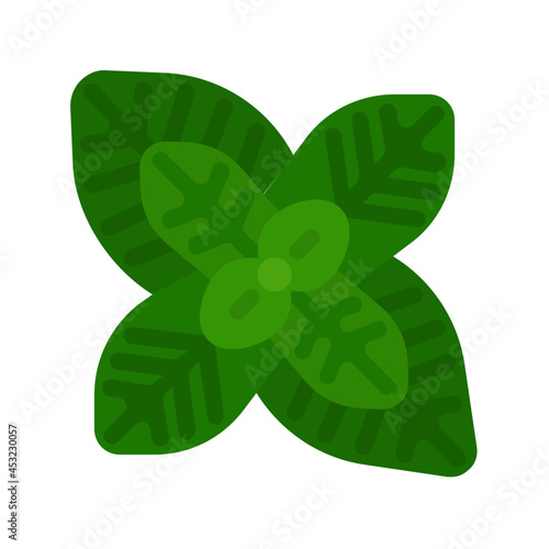 peppermint flat icon