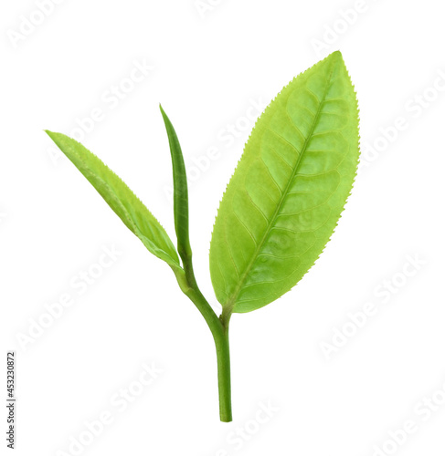 Zielona herbata liść odizolowywający na białym tle