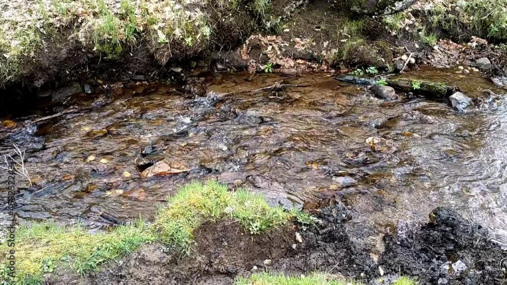 Shallow and narrow river current flowing steadily. Water is clear and