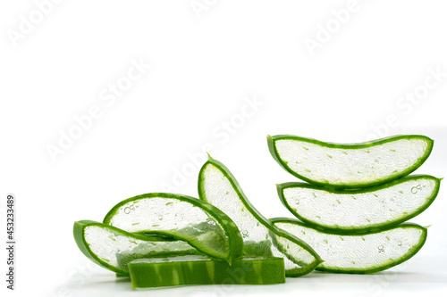 Aloe vera or Star cactus (Aloe vera (L.) Burm.f.) on a white background. Herbs that are commonly used to treat skin.