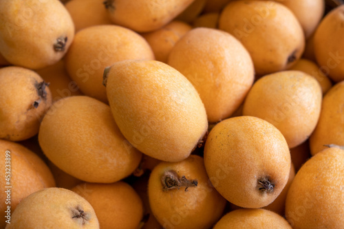 In the harvest season  many loquat fruits are arranged orderly