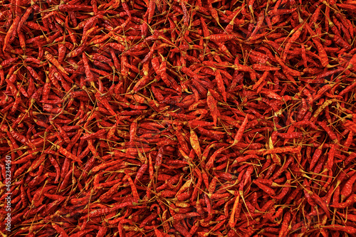 Dried red hot chilli texture background
