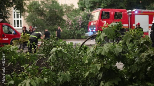 Rescue service on special equipment removes fallen and charred trees