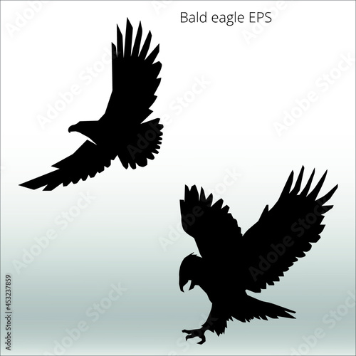 set of bald eagle silhouette, line isolated or logo isolated sign symbol vector, outline and stroke style Collection of high-quality vector illustration,