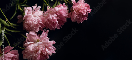 Fototapeta Naklejka Na Ścianę i Meble -  panoramic floral banner. bouquet of pink peonies on a black background with place for text. minimalistic composition in a dark key. top view, moody floral, copy space