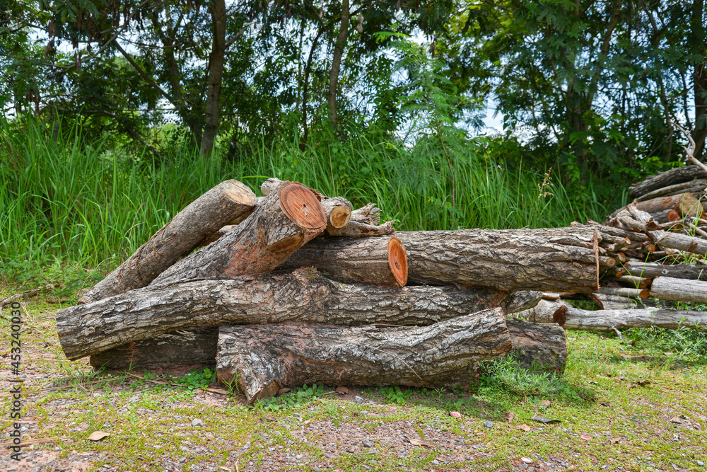 Fototapeta premium A pile of stacked firewood, prepared for heating the house, Firewood harvested for heating in winter, Chopped firewood on a stack, Firewood stacked and prepared for winter Pile of wood logs.