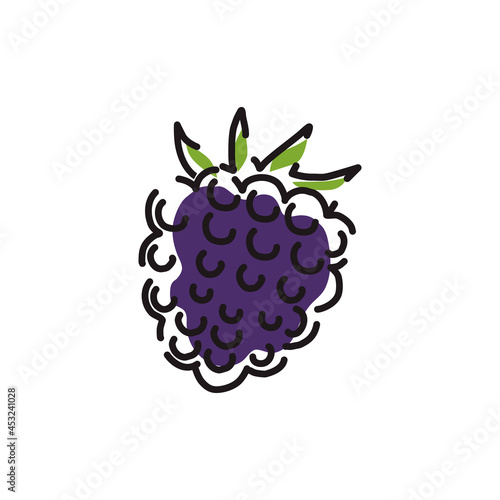 Juicy blackberry icon on a white isolated background. Vector illustration