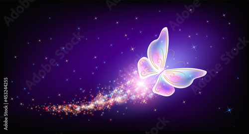 Flying delightful butterfly with sparkle and blazing trail flying in night sky among shiny glowing stars in cosmic space. Animal protection day concept.