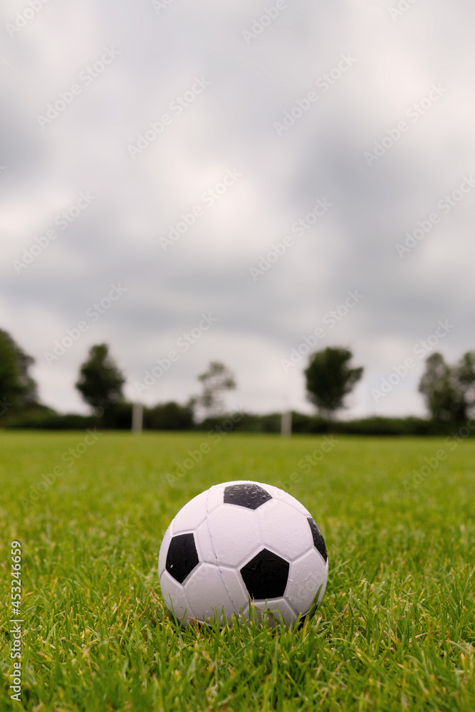 Ball on green grass, Soccer of football goal post in the background. Ball on green grass, Soccer of football goal post in the background.