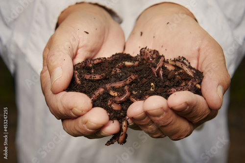 Gardener take care of earthworms from his green bio garden