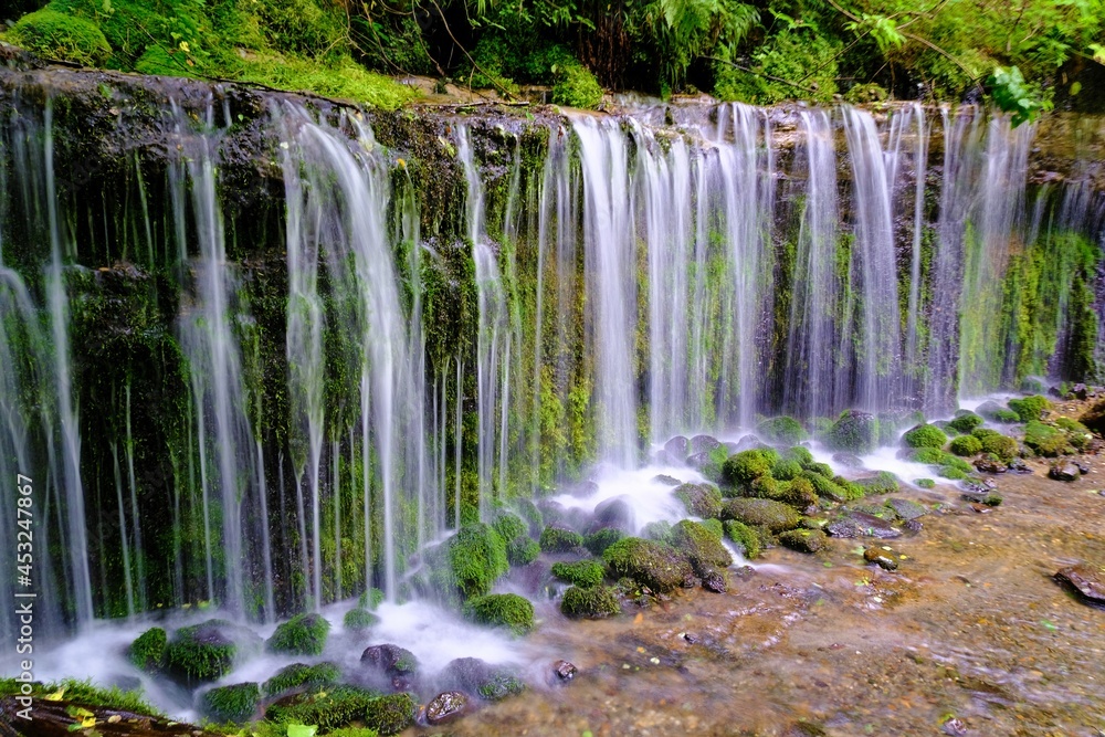 Fototapeta premium 山の中の滝