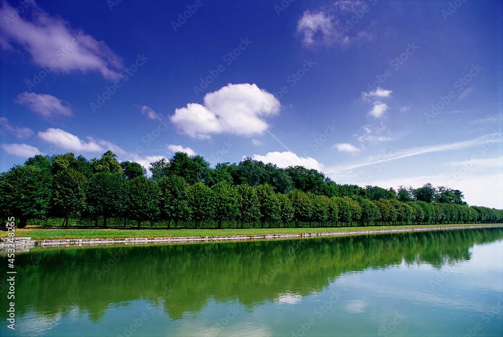 Obraz premium lake and forest