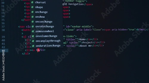 developer software source code on monitor screen. writing script of software developer. program coding. programmer editing code background. Technology background close up shot.