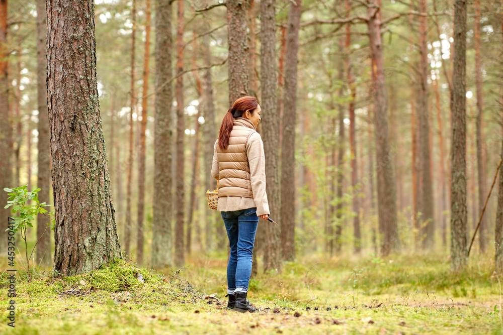 season and leisure people concept - asian young woman with mushrooms in basket walking along autumn forest season and leisure people concept - asian young woman with mushrooms in basket walking along autumn forest