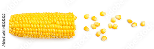 Fotografie Fresh cut corn cob and seeds on white background