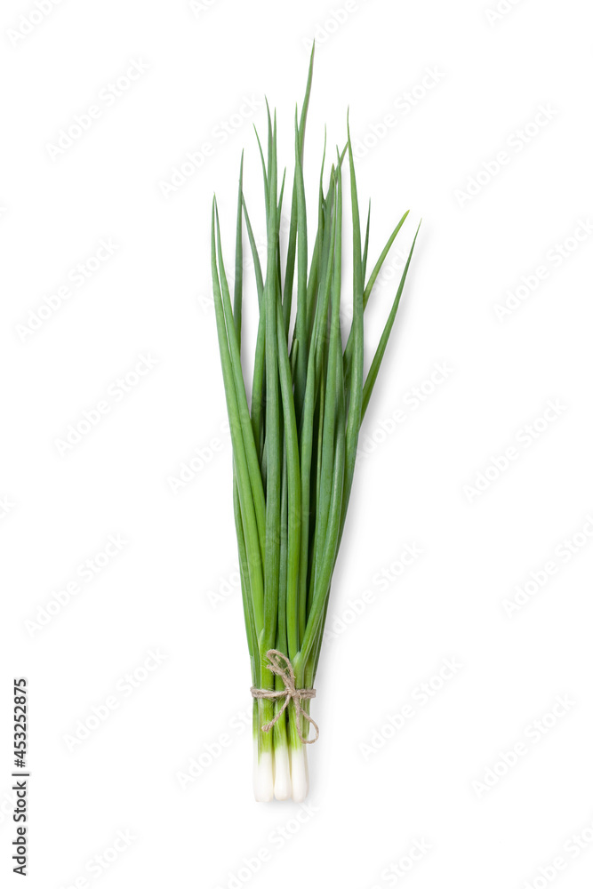 Onion isolated on white background. A bunch of scallion. Onion isolated on white background. A bunch of scallion.