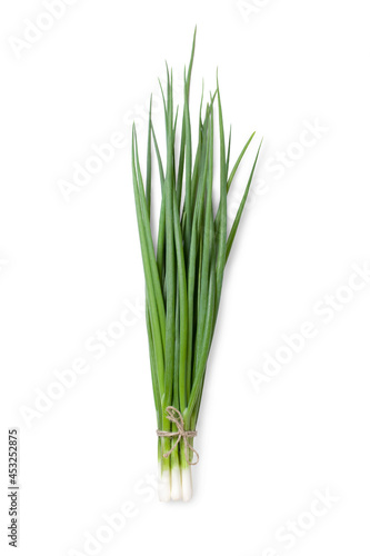 Onion isolated on white background. A bunch of scallion.