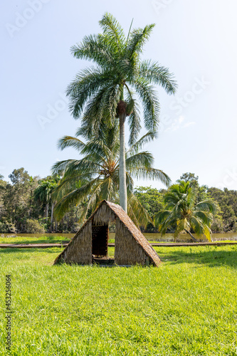 Indian village Guam. Palm tree and palm leaf hut